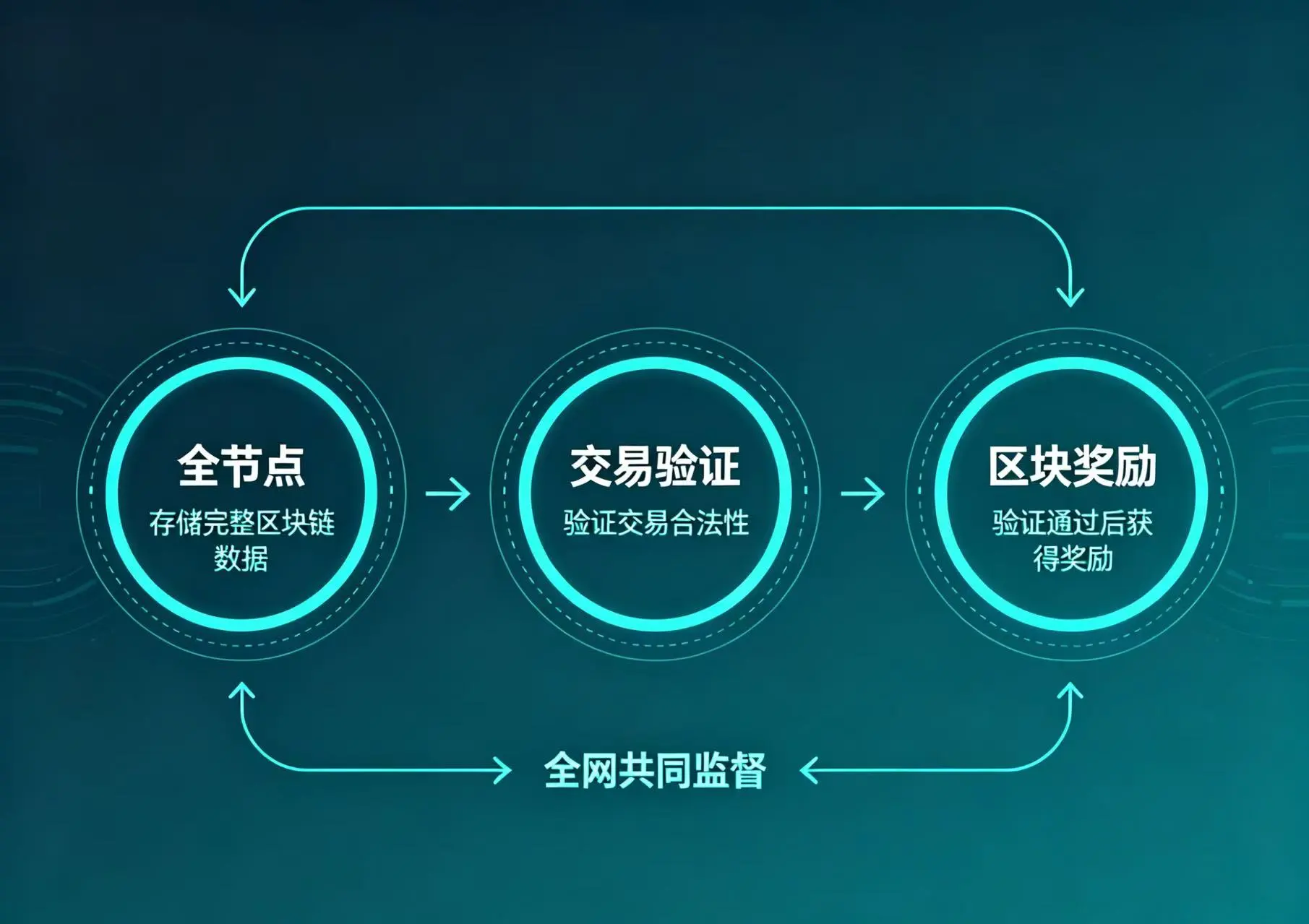 全节点验证区块奖励机制图,体现全网节点共同监督区块奖励合规性的原理 全节点验证区块奖励机制图,体现全网节点共同监督区块奖励合规性的原理